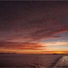 Die Spur der MS Trollfjord