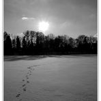 Die Spur des Fotografen