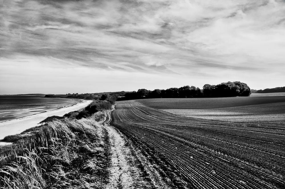 Die Spur im Feld!