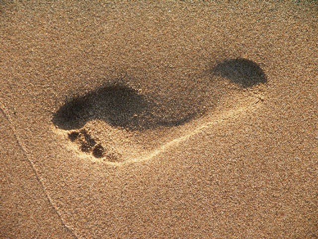 Die Spur im Sand