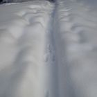 Die Spur im Schnee