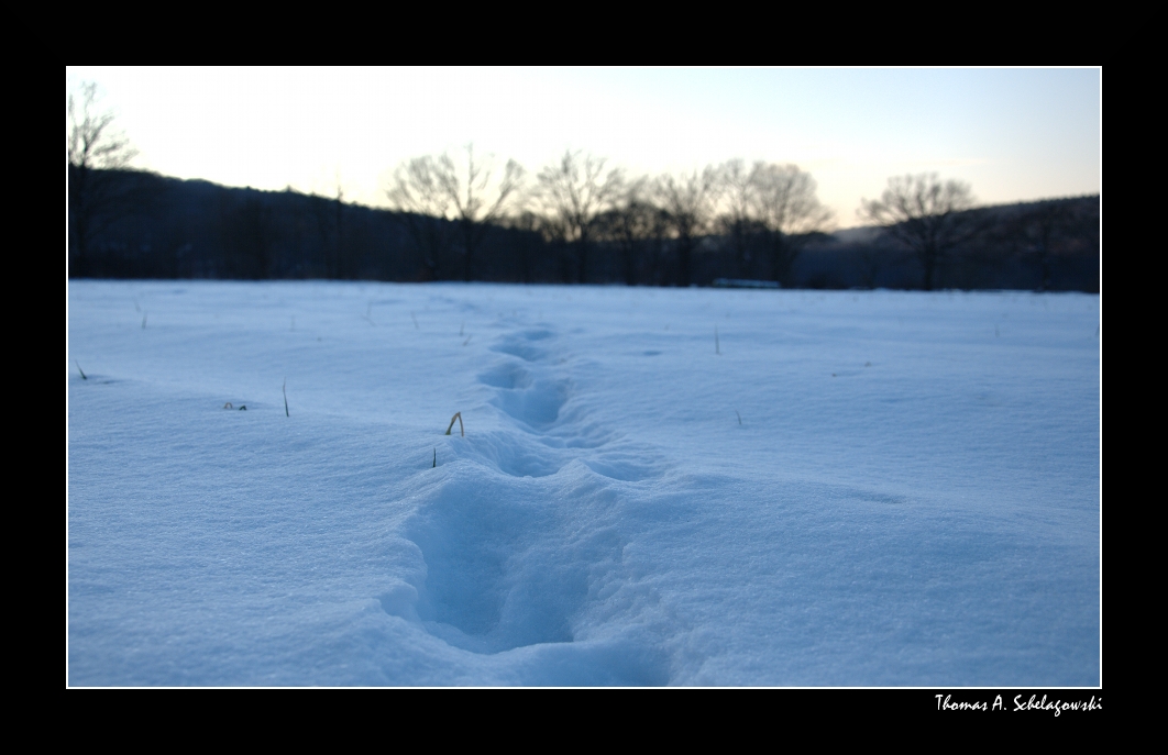 Die Spur im Schnee