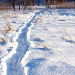 Die Spur im Schnee