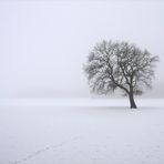 Die Spur im Schnee