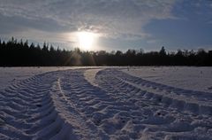 Die Spur im Sonnenuntergang