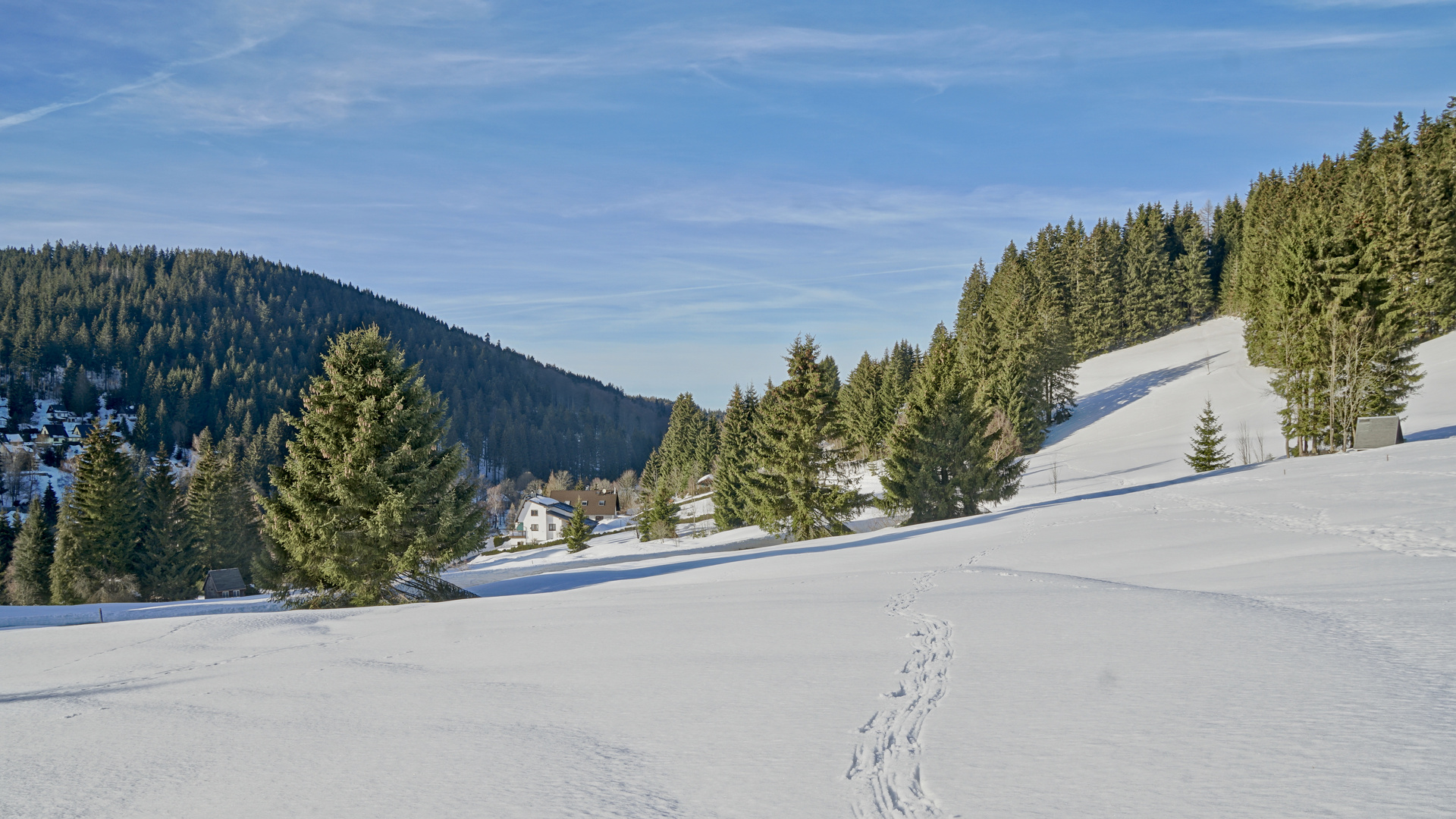 Die Spur ins Dorf!