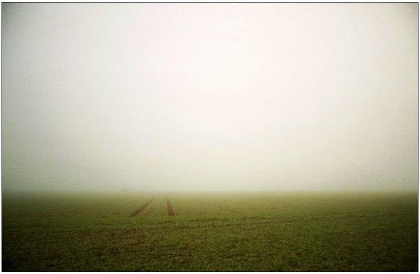 die Spur verliert sich im Nebel