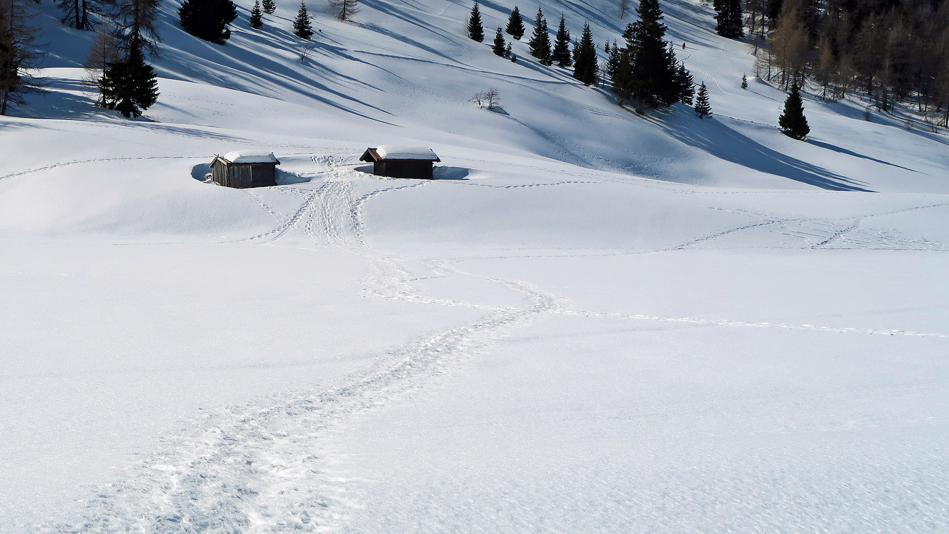 die Spur zur Hütte