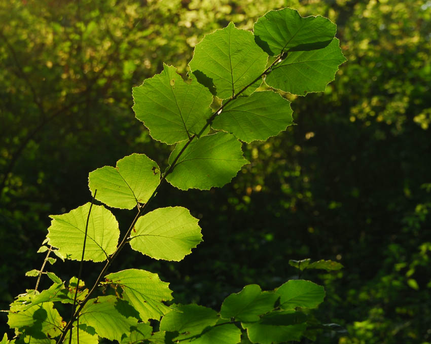 Die Spuren des Sommer 2006