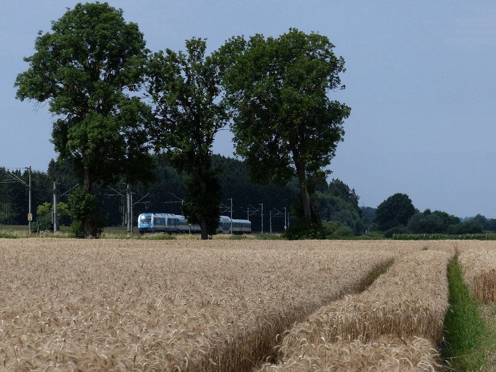 Die Spuren des Sommers