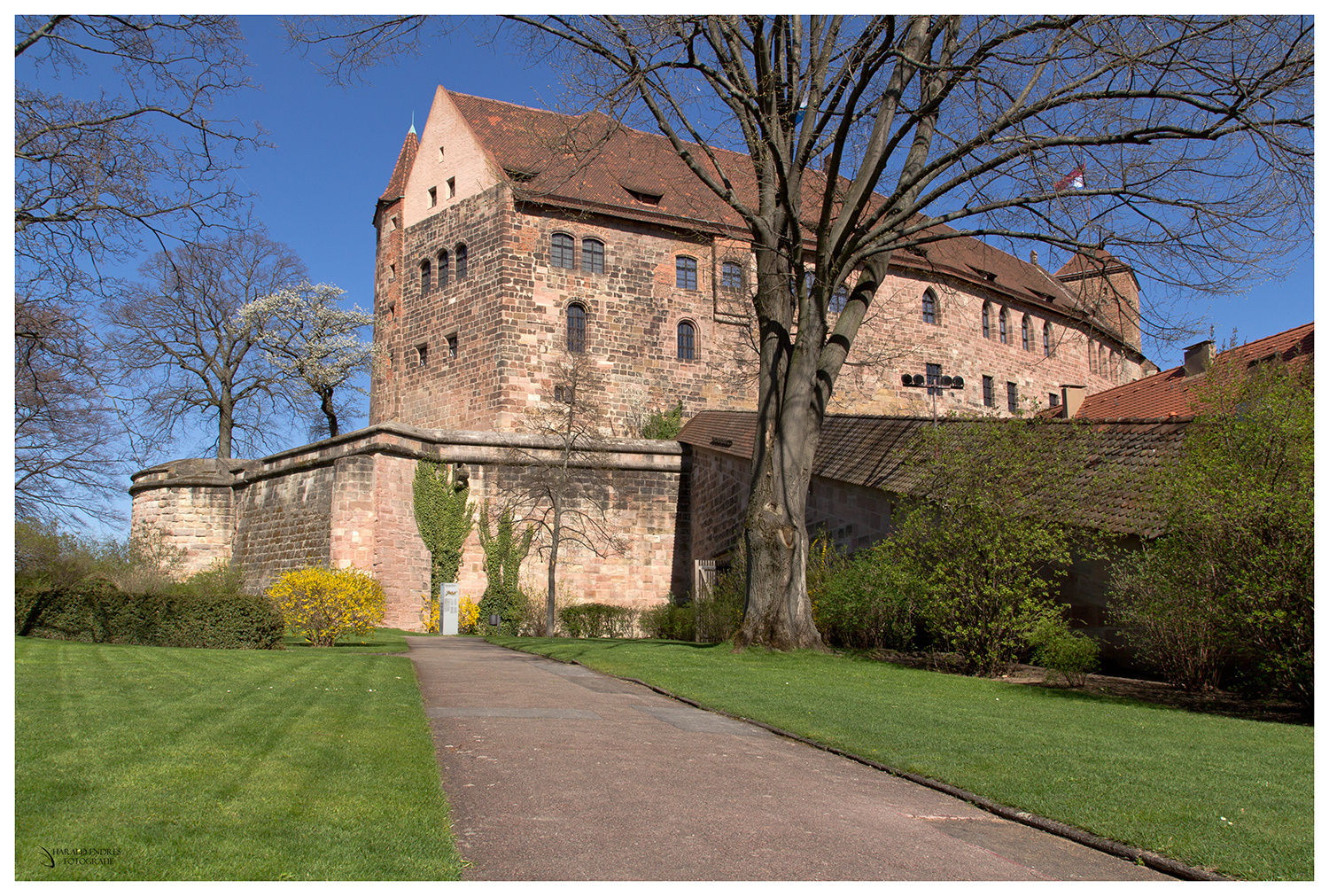 Die Spuren führen zur Burg