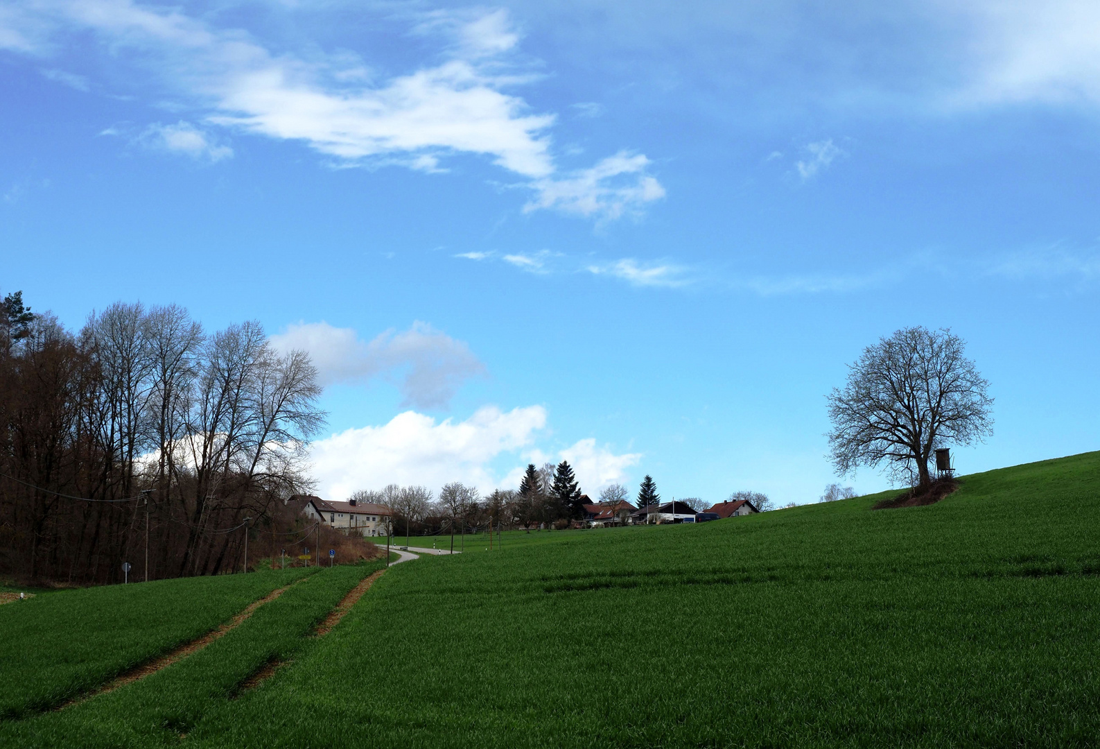 Die Spuren im Feld