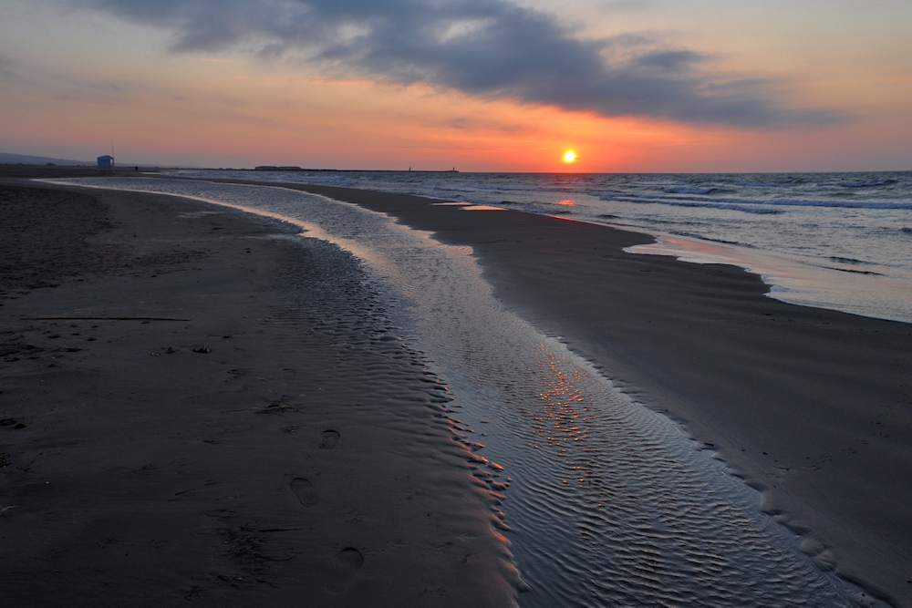 die Spuren im Sand...