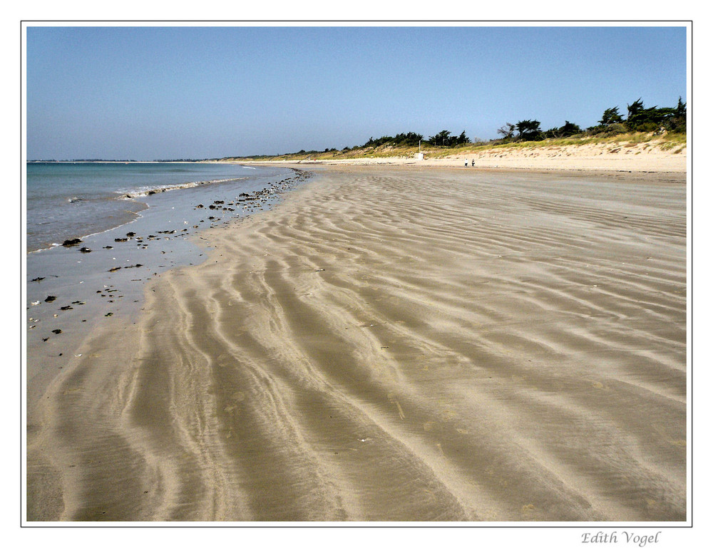 die Spuren im Sand.....