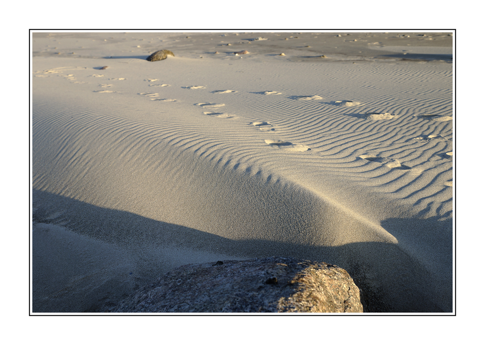 Die Spuren im Sand