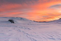 Die Spuren im Schnee