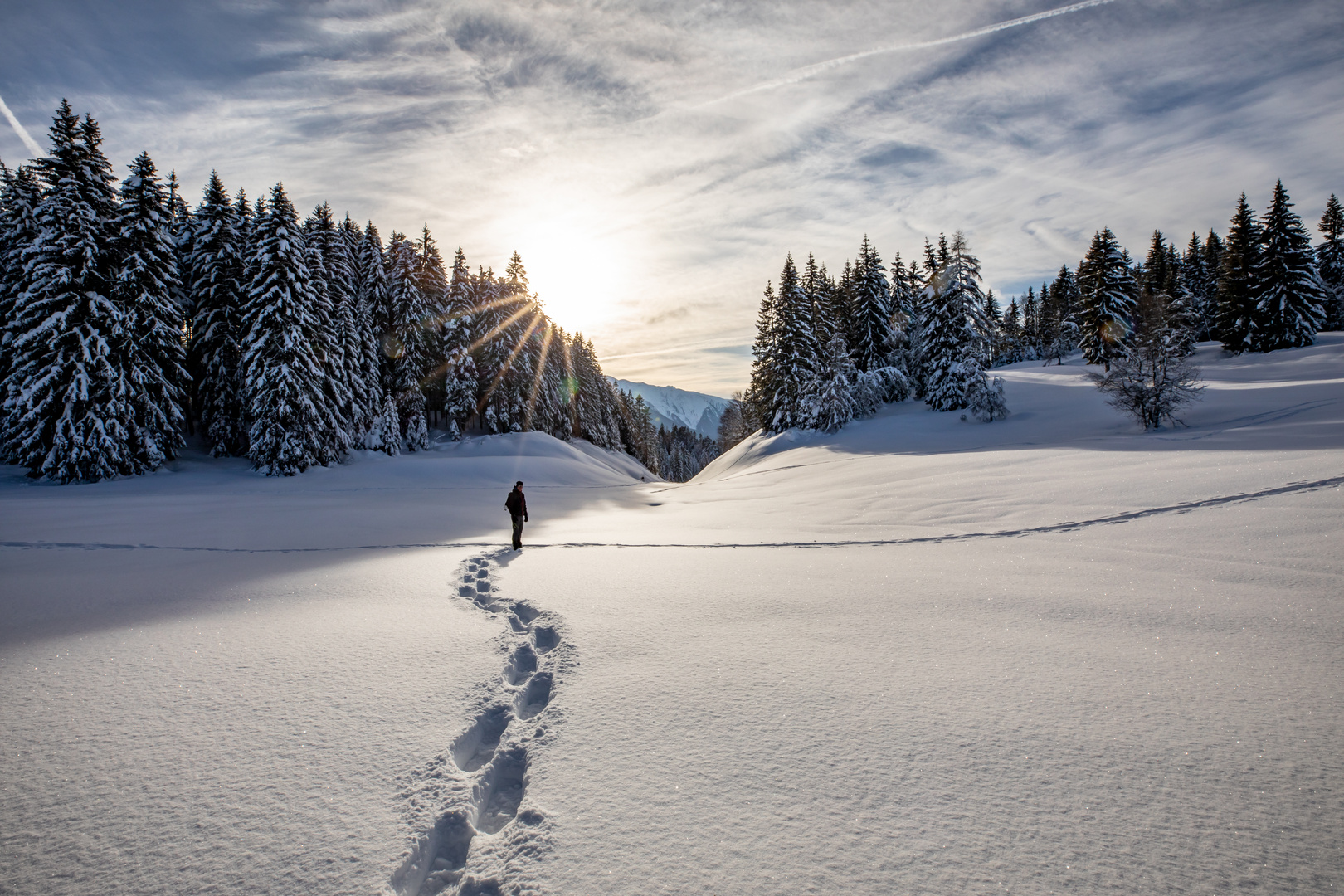 die Spuren im Schnee...