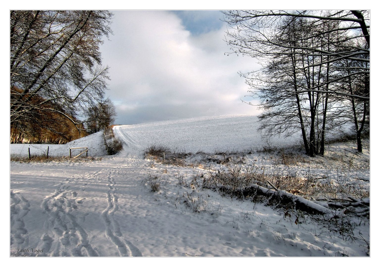 die Spuren im Schnee