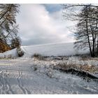 die Spuren im Schnee