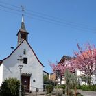 die St. Hubertus Kapelle Birresdorf...