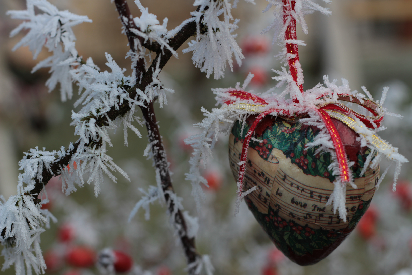 Die stade Zeit Foto & Bild jahreszeiten, winter, weihnachten Bilder