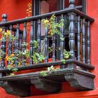 die Stadt der Balkone und Blumen (1)