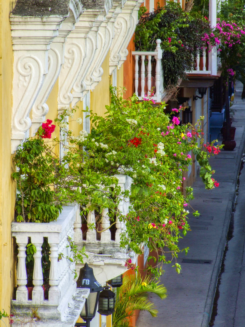 die Stadt der Balkone und Blumen (2)