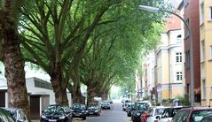 Die Stadt im Park oder der Park in der Stadt Dortmund