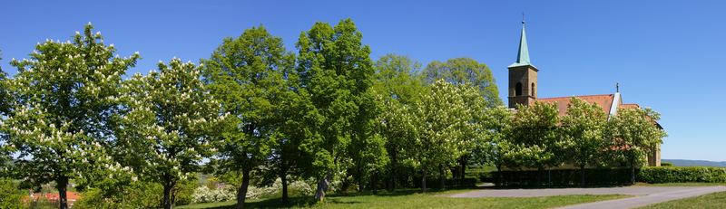 Die Stadtlauringer Kapelle im Frühling