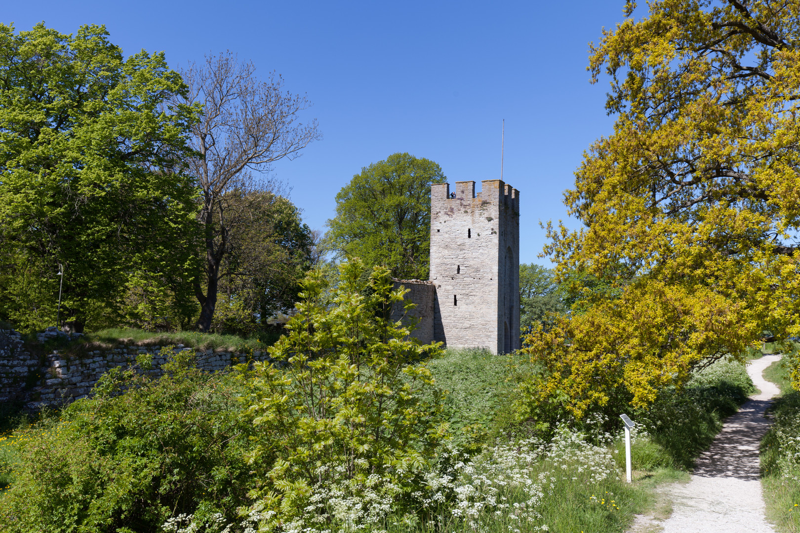 Die Stadtmauer im Grünen