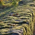 ... die Stadtmauer... in Rüthen... mal anders gesehen...