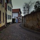 Die Stadtmauer von Freinsheim