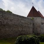 Die Stadtmauer von Tallinn