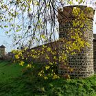 die Stadtmauer von Zons