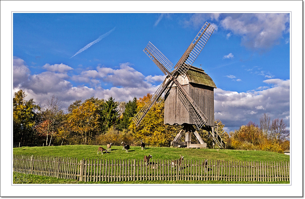 ~ die Ständermühle ~