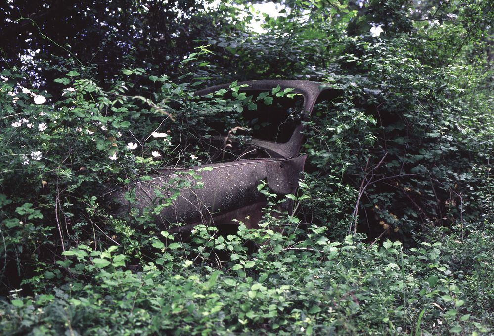 Die Stärke der Natur