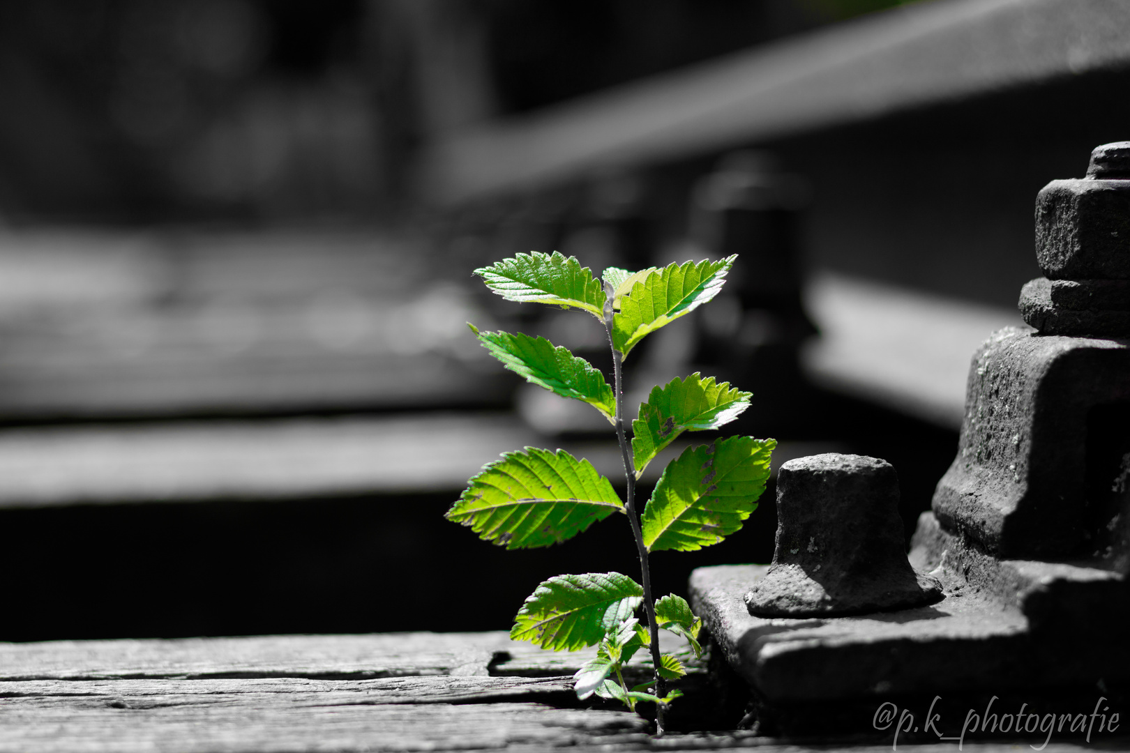 Die Stärke der Natur