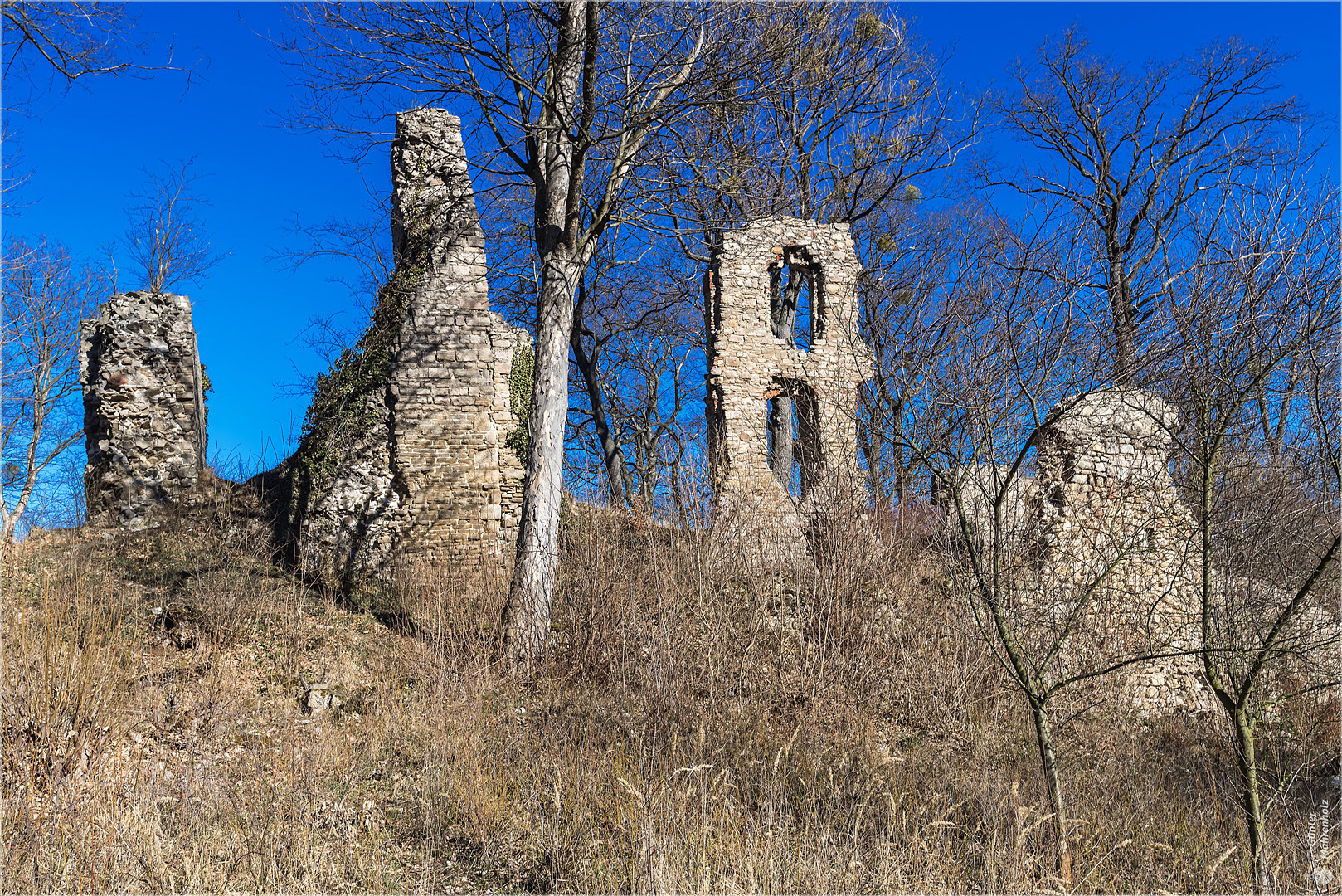 Die Stecklenburg