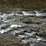 Die Steighilfen für Lachse im Siegfall