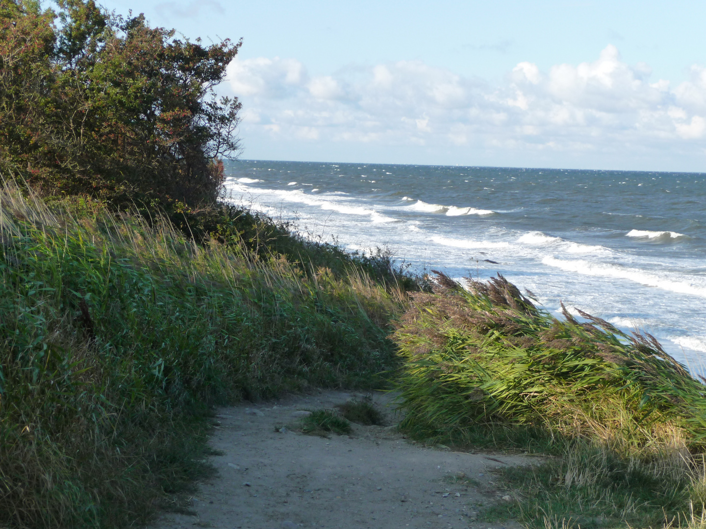 Die "steile Seite" von Fehmarn !