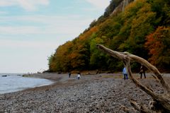 Die Steilküste auf Rügen