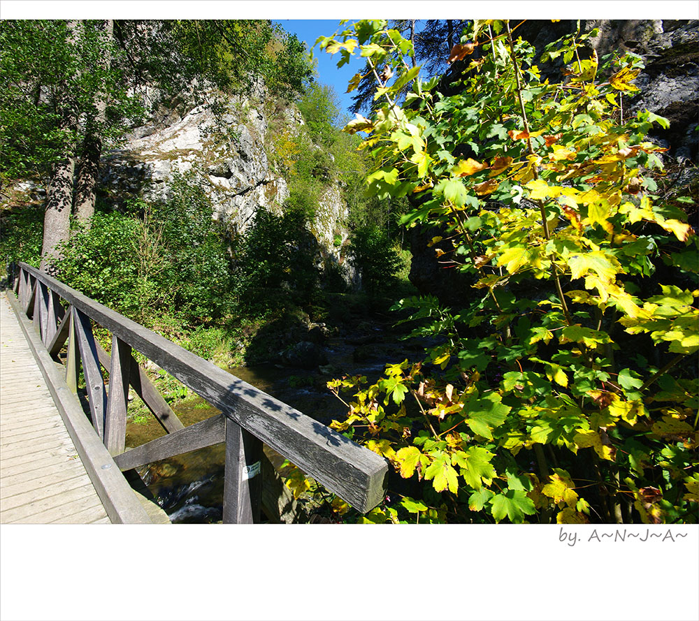 * Die Steinachklamm...II *