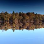 Die Steinbachtalsperre im Herbst