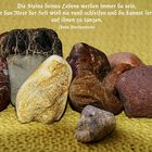 Die Steine