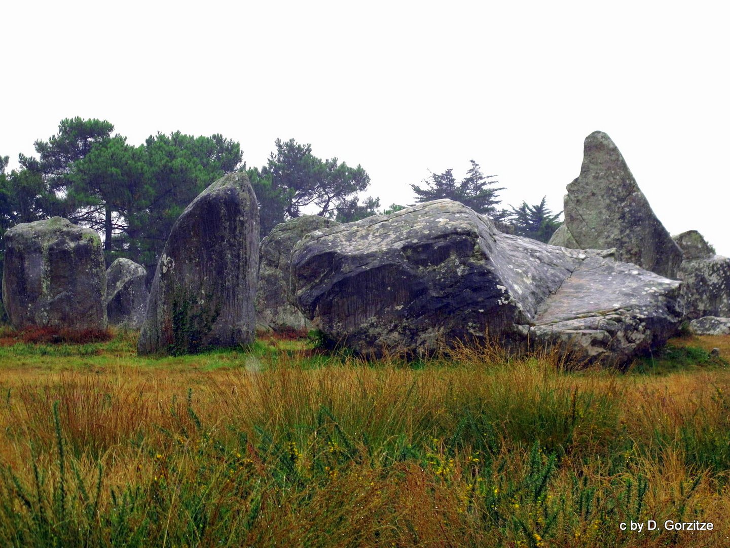 Die Steine von Carnac !