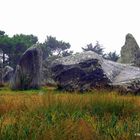 Die Steine von Carnac !