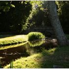 Die Steinerne Brücke