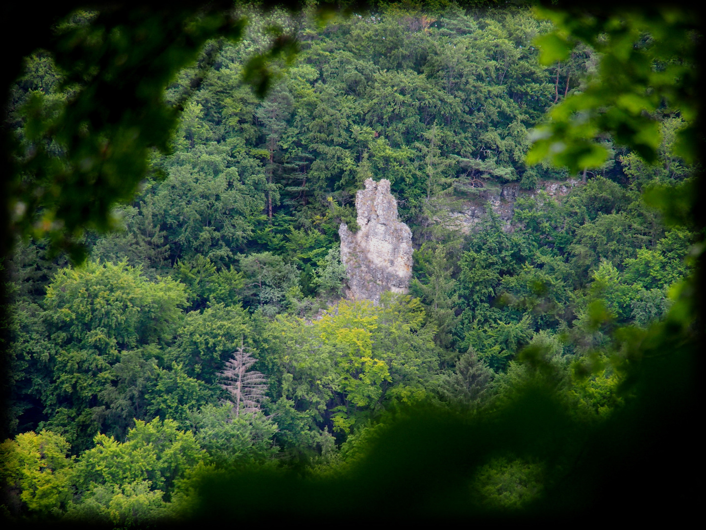 Die steinerne Hand