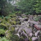 Die Steinerne Mühl bei Helfenberg im Mühlviertel - I