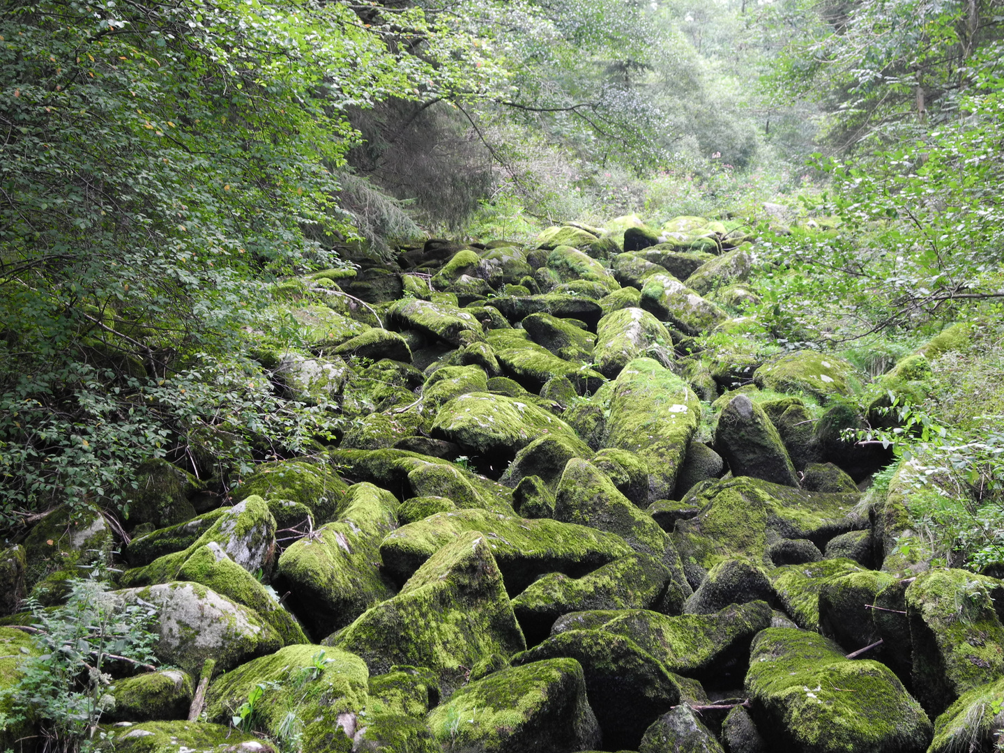 Die Steinerne Mühl im Mühlviertel (Österreich)